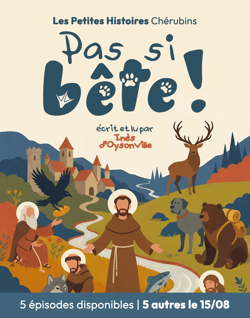 Couverture - pas-si-bete