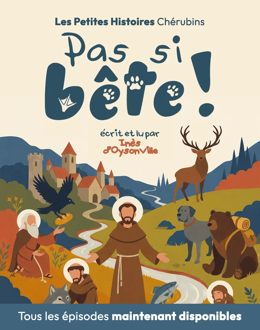 Couverture - pas-si-bete